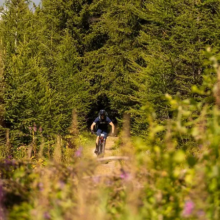 Montana & Spa, By R Collection Hotel 5*