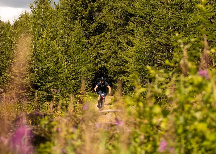 Montana & Spa, By R Collection Hotel 5*